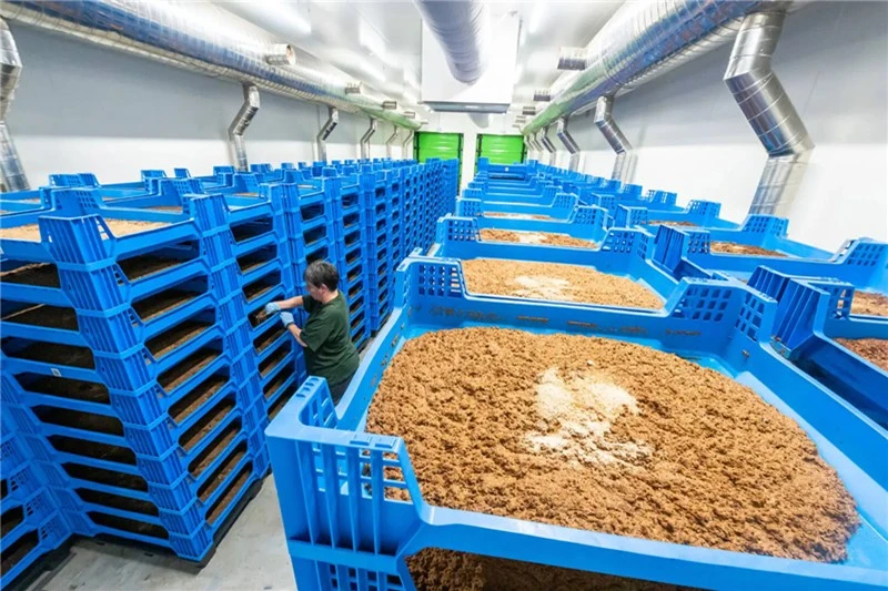 insect breeding box for animal feed insect breeding box for animal feed